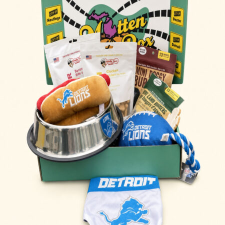 Gift box filled with Detroit Lions merchandise for dogs, including a bowl, toys, and treats.